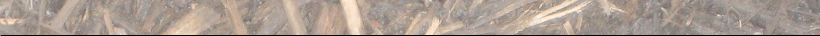 Mulch
